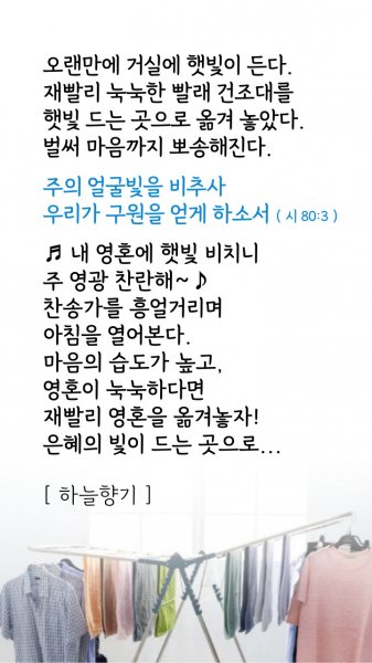 마음의 습도가 높고 영혼이 눅눅하다면??