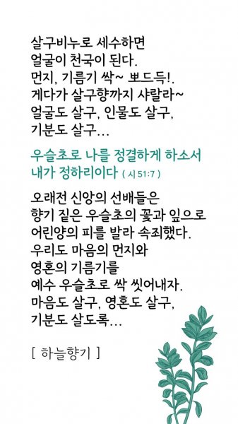 마음도 살구 영혼도 살구 기분도 살도록