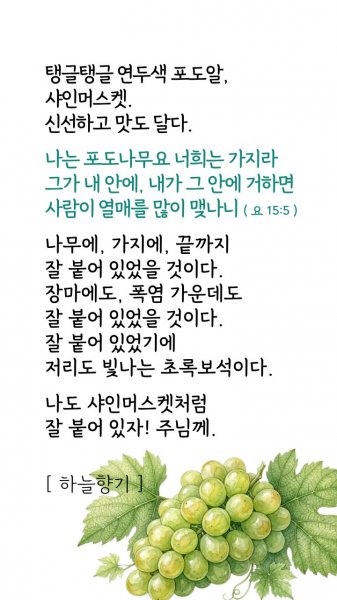 주님께 잘 붙어있자